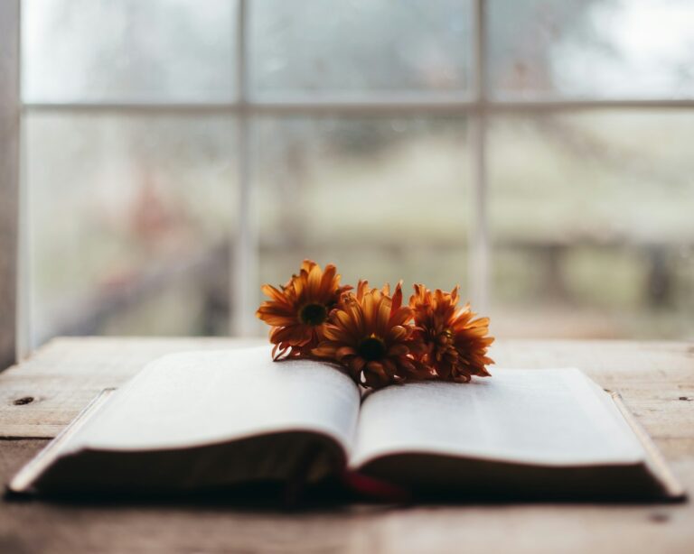 Orange flowers rest on an open book by window.